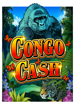 รีวิว king789 auto slot เกมสล็อตน่าเล่นแห่งปี